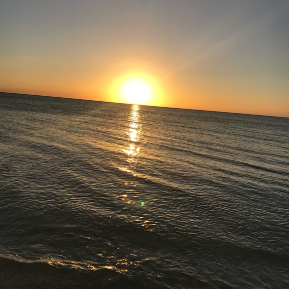 Meet your Posher, Zoe - Picture 1 of 1